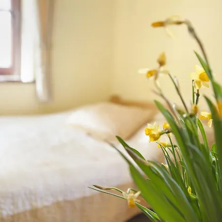 Weronika Rum i privatbostad