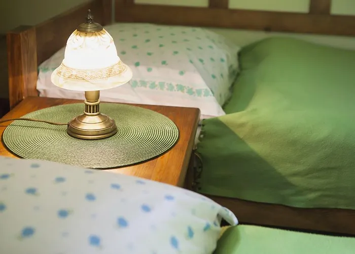 Weronika 米迪格兹